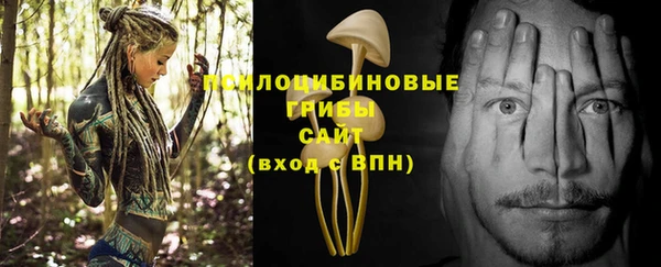 гидра Алексин
