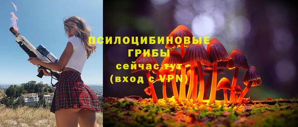 spice Алзамай