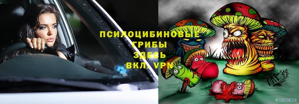 гидра Алексин