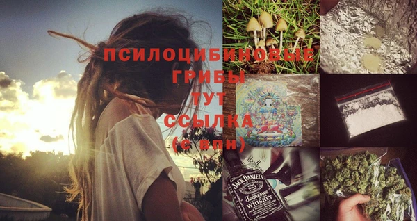 Альфа ПВП Арсеньев