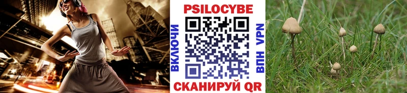 Псилоцибиновые грибы мухоморы  где найти наркотики  Дмитриев 